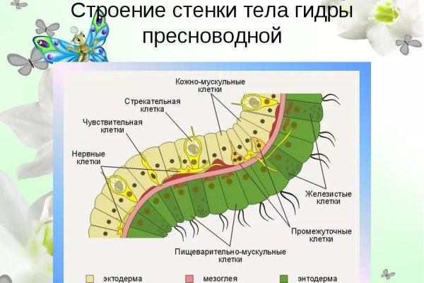 Ссылки онион