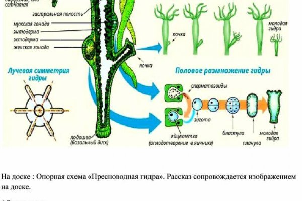 Kraken официальная ссылка