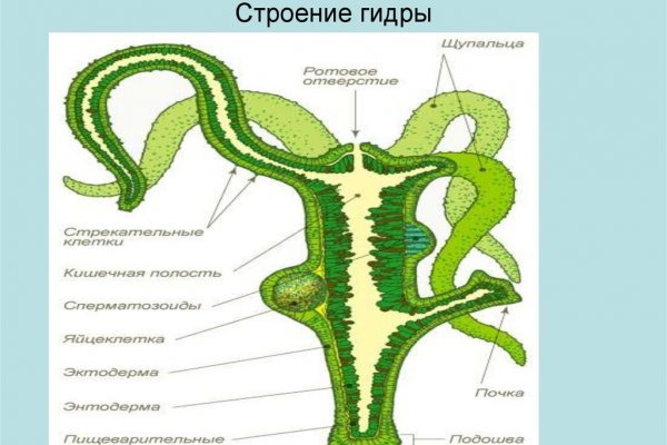 Кракен продажа наркотиков