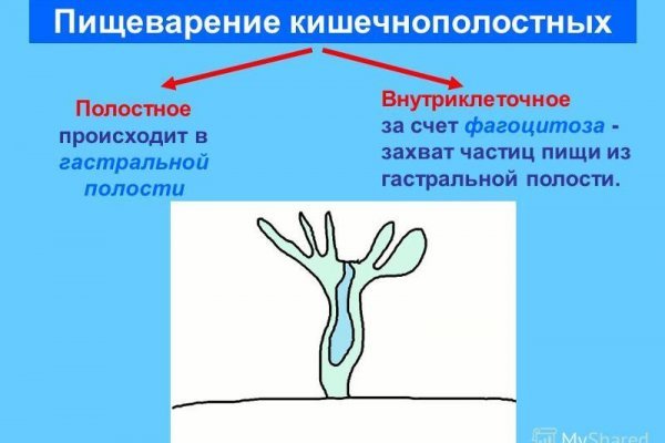 Как восстановить пароль кракен